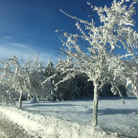 Dachsbaude & Kammbaude