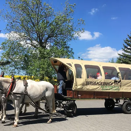 Hotel Dachsbaude & Kammbaude Seiffen