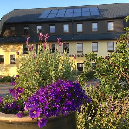 Hotel Dachsbaude & Kammbaude 3*