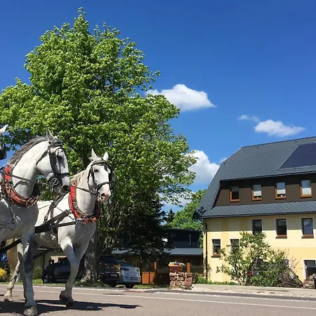 Hotel Dachsbaude&kammbaude 3*