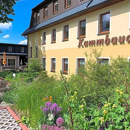 Hotel Dachsbaude&kammbaude 3*