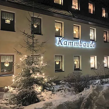 Dachsbaude & Kammbaude 3* Seiffen