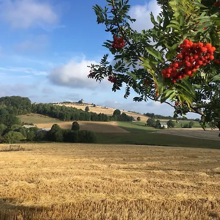 Dachsbaude&kammbaude 3*