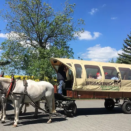 Hotel Dachsbaude & Kammbaude 3*