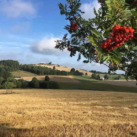 Hotel Dachsbaude&kammbaude 3*