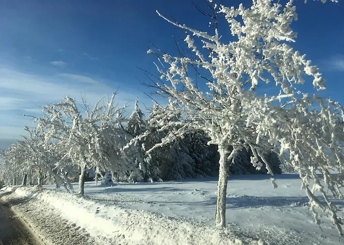 Dachsbaude & Kammbaude