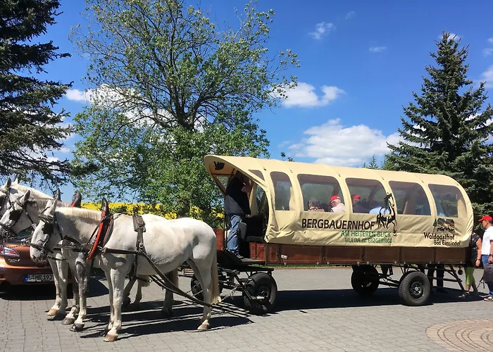 Hotel Dachsbaude & Kammbaude Seiffen