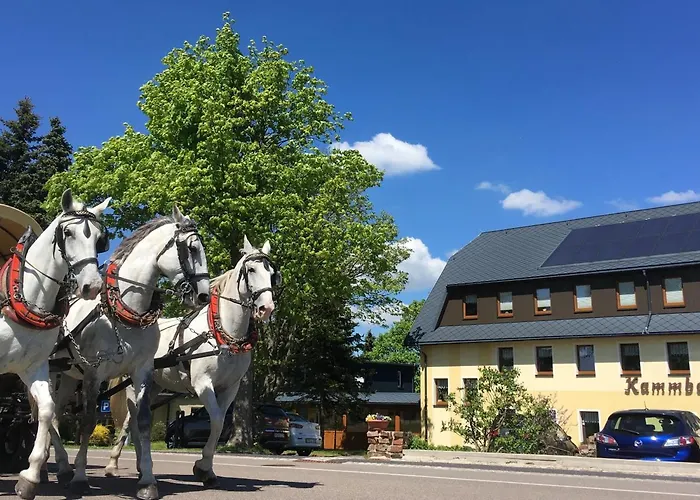 فندق Dachsbaude & Kammbaude 3*