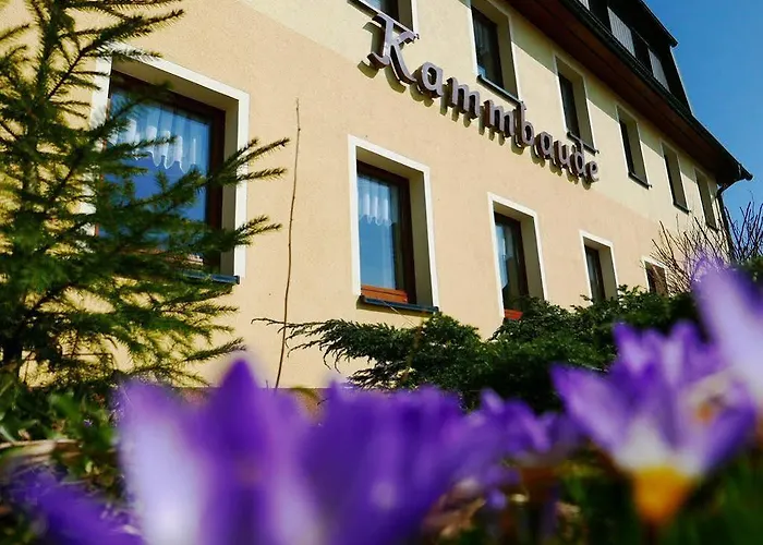 Dachsbaude & Kammbaude 3* سيفن