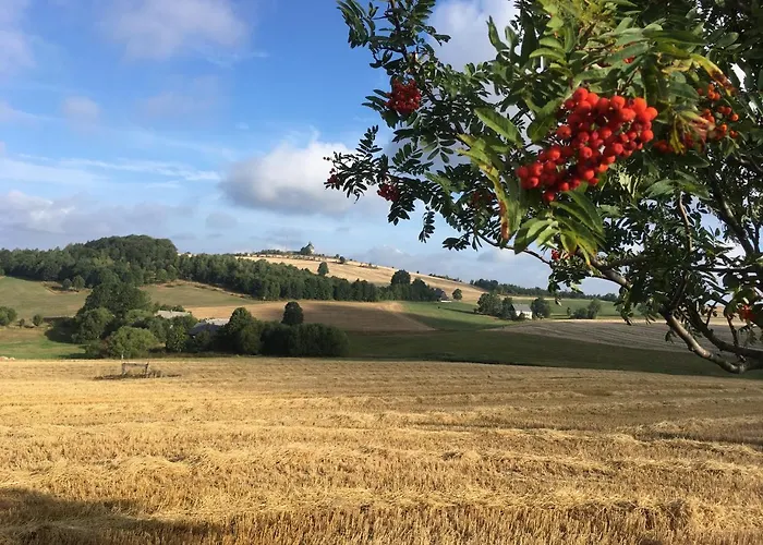 فندق Dachsbaude & Kammbaude 3*